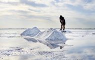 An employee working for lithium mining stocks.